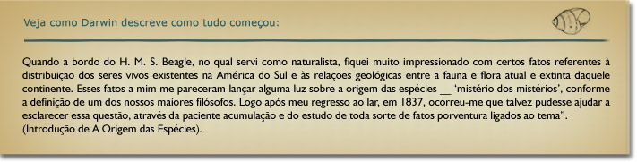 Veja como Darwin descreve como tudo começou